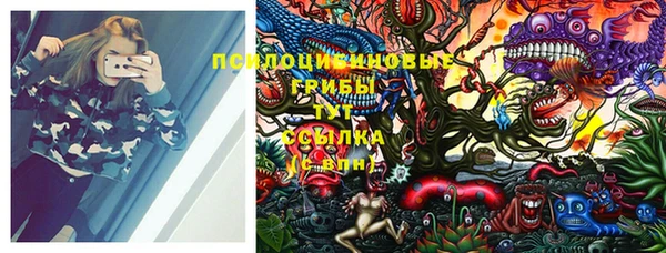 кокс Алексеевка