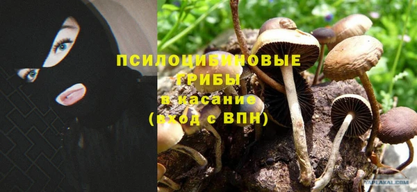 бутират Алзамай