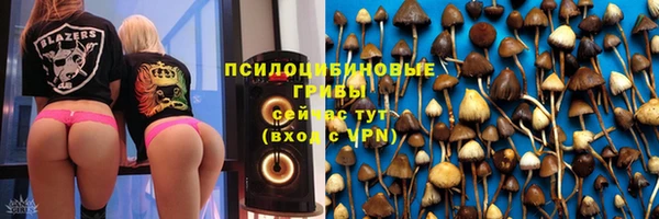 соль курить ск Алексин