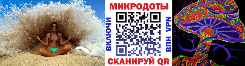 Псилоцибиновые грибы прущие грибы  Дмитриев 