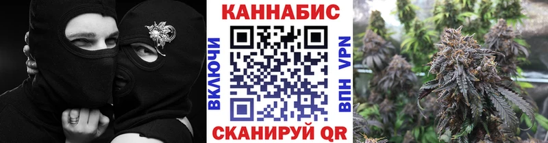 дарк нет состав  Дмитриев  Бошки марихуана SATIVA & INDICA 